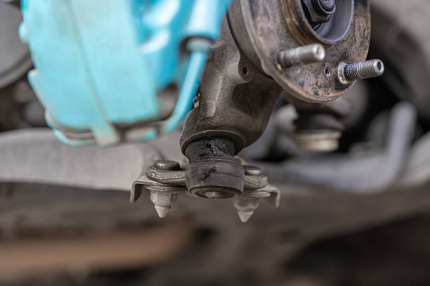 ປັບແຕ່ງ, ບໍ່ແມ່ນທົ່ວໄປ: ປະເພດຂອງ Suspension ກໍານົດທຸກໆດ້ານຂອງການປະຕິບັດການພຸ່ມໄມ້